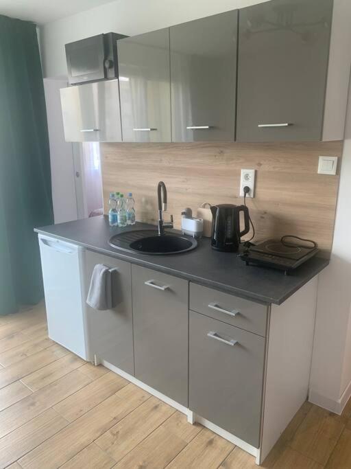 Uroczy Apartament W Centrum Sandomierza Kültér fotó